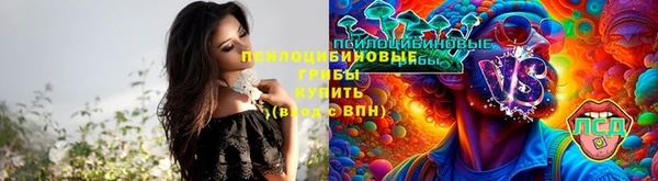 каннабис Богородицк